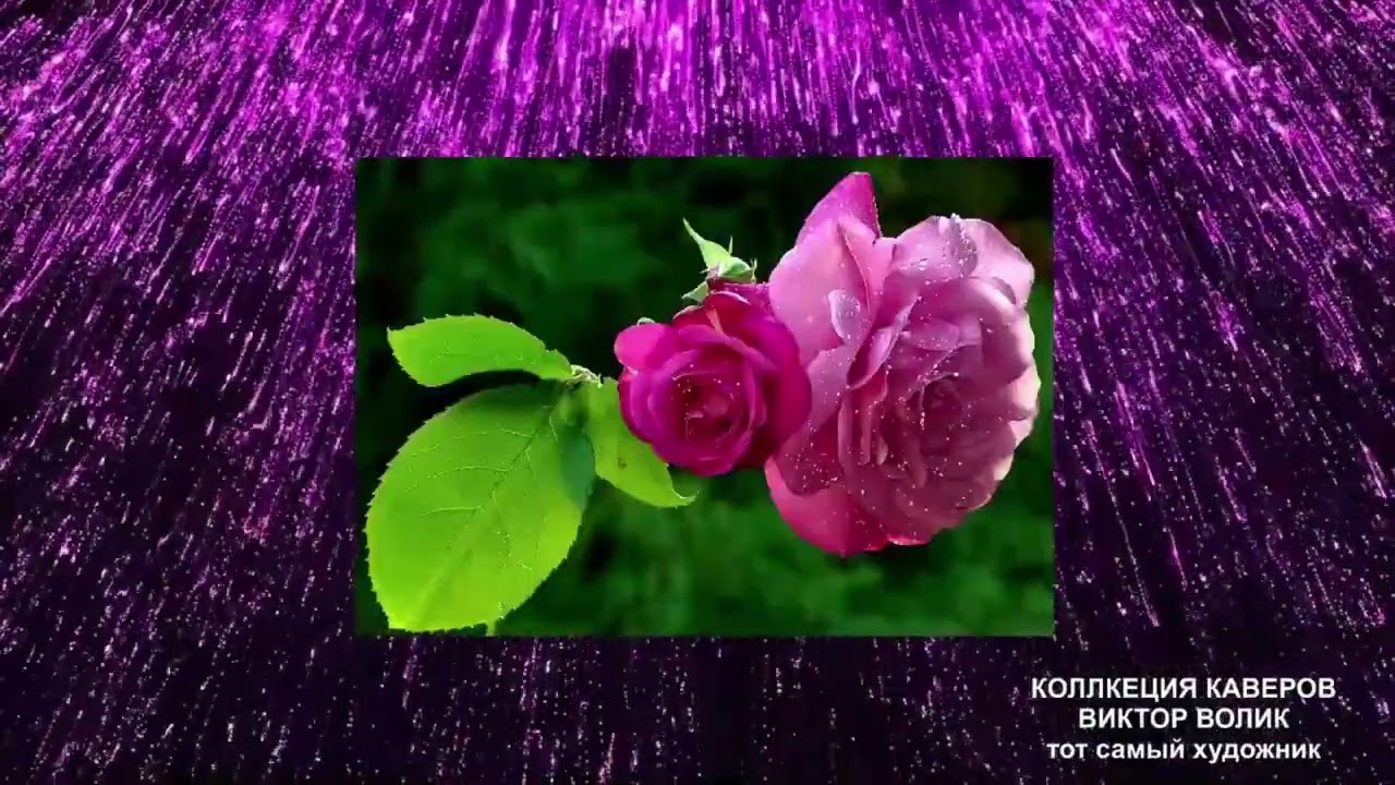 Топ 5 хороших песен на канале 