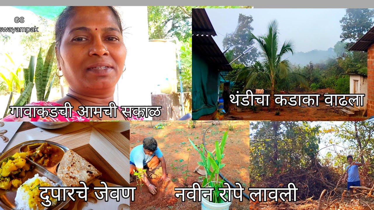 थंडीचा कडाका वाढला 🛖 नवीन रोपे लावली बागेत #Myvillagehome #priyapawar #familyvlog 