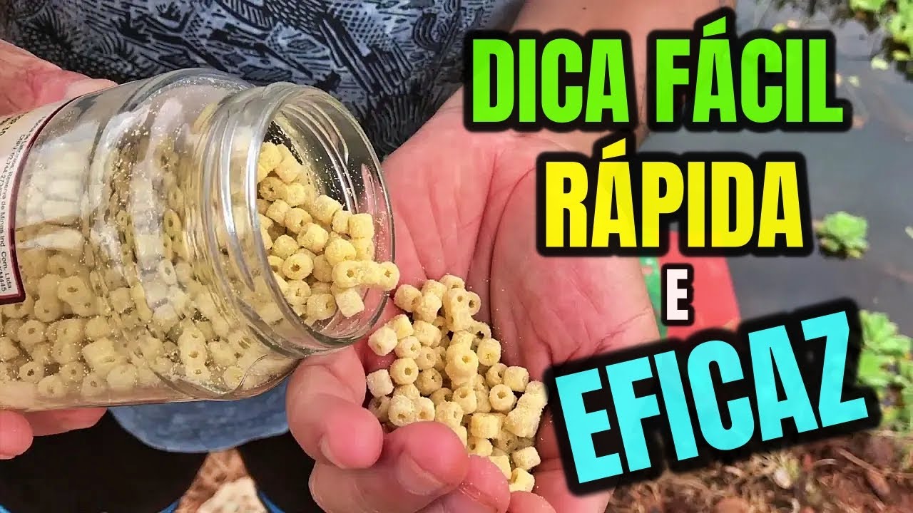 DICA SIMPLES  de ISCA pra LAMBARI