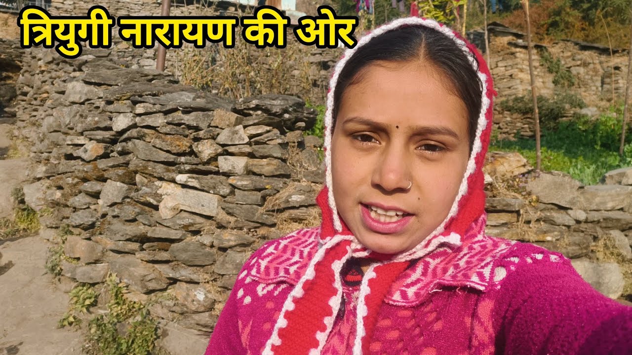  इतनी दूर से लेकर आए सूखी घास, आज आई इतनी ज्यादा आफत।।@sunainasunaina1842 ।।