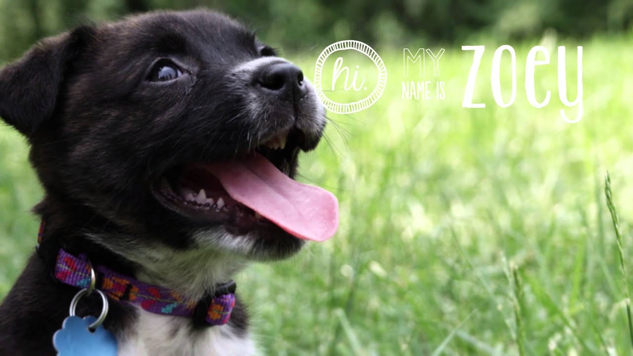 Zoey