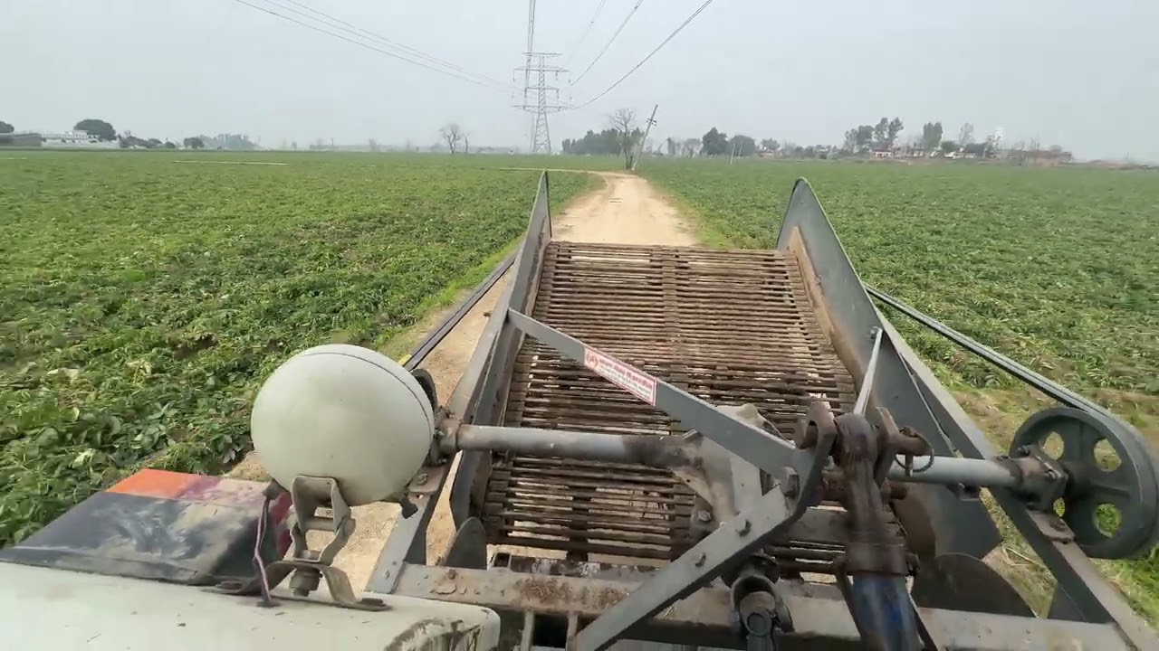 Aalu aa di patai start