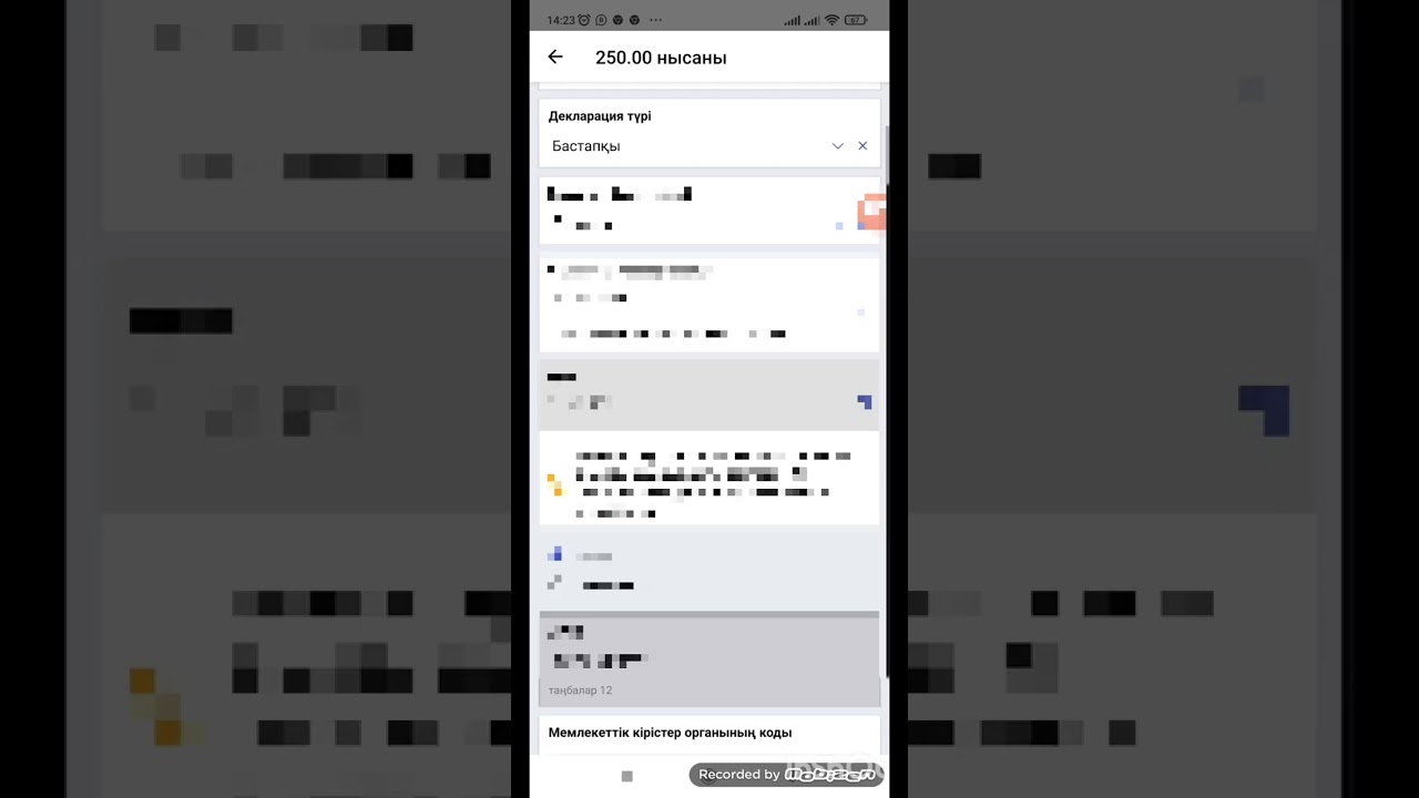 Декларация тапсыру 250 форма