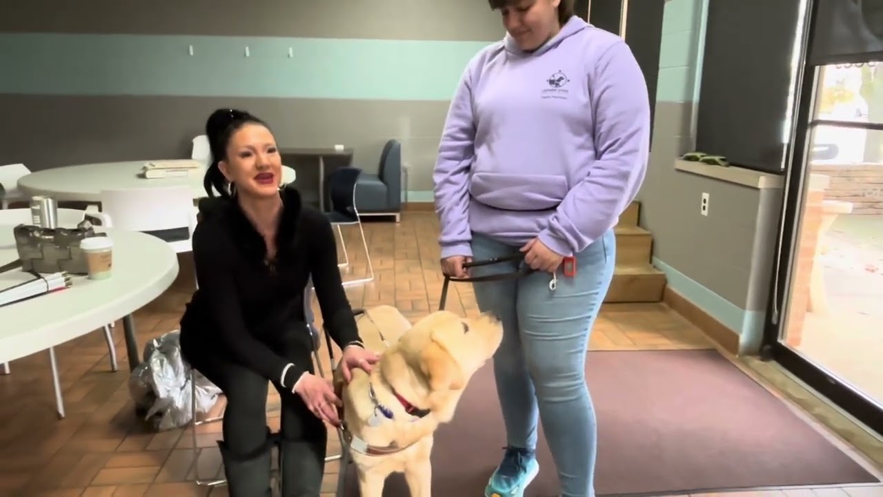 Want to come meet a Leader Dog? I want him to be mine.  ❤️￼