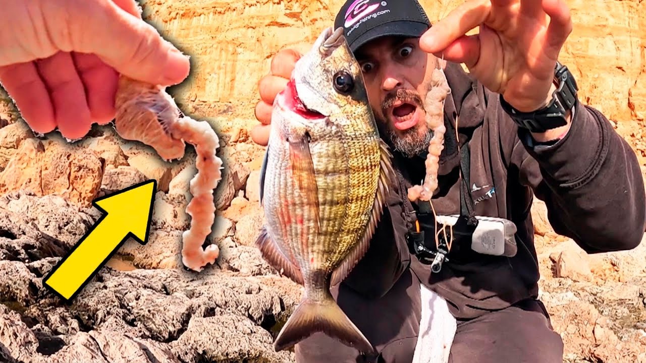 ¡¡OLAS de 3 METROS!! Perdido en el bosque encontré este spot y, PESCA de INVIERNO (Naturalcasting)
