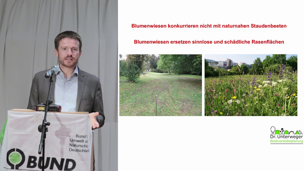 Bunte Wiesen und Weiden - ein Modell gegen das Insektensterben