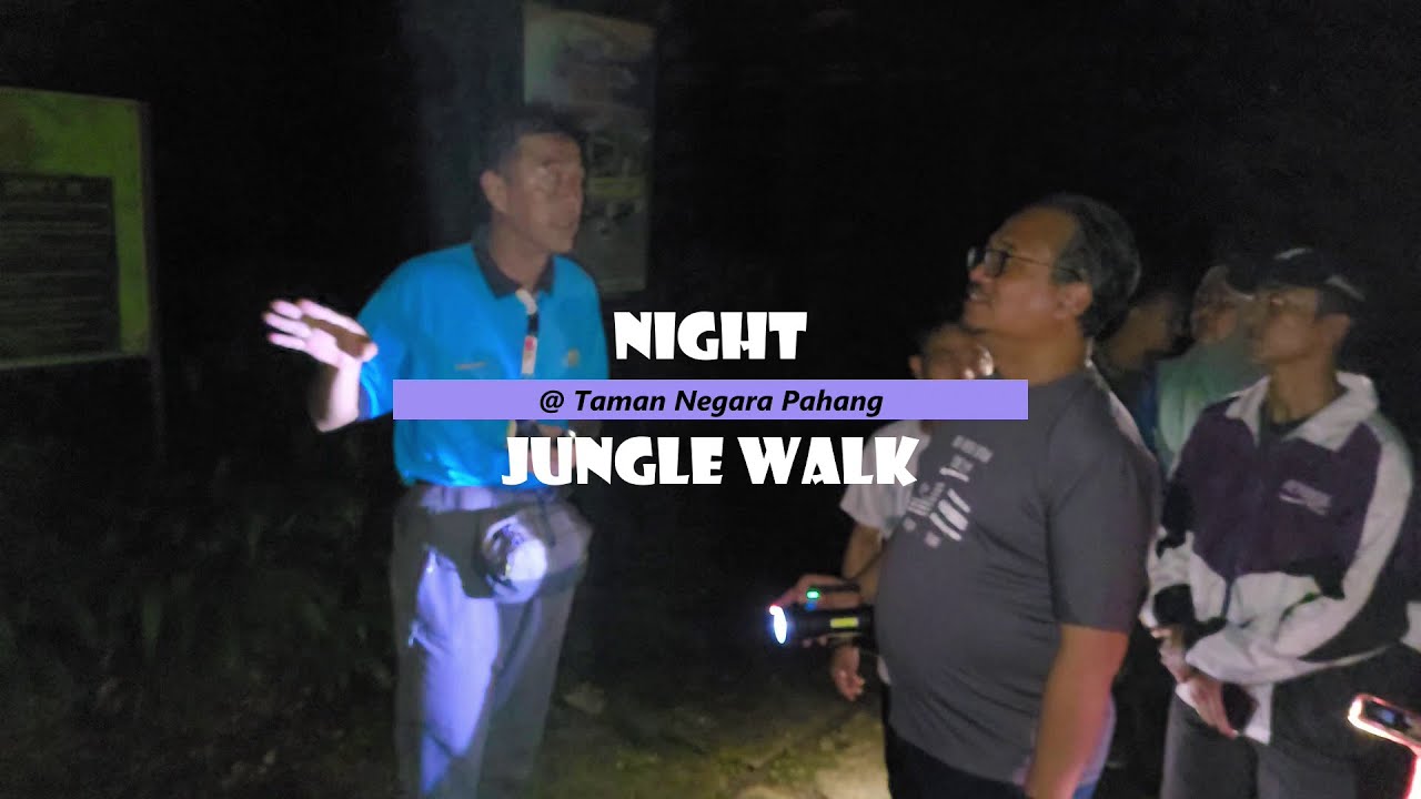 Night Jungle Walk @ Taman Negara Pahang (3D 2N Package - Day 1/3)
