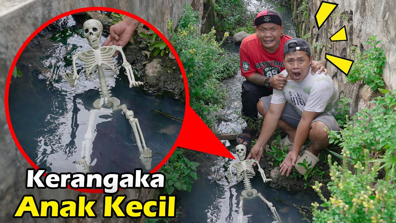 Mengungkap Penemuan Kerangka Anak Kecil Di Aliran Sungai