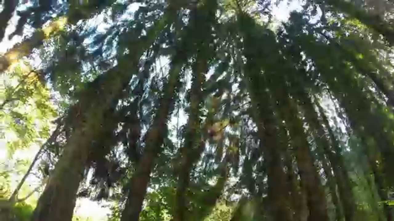 Ordning Time Lapse