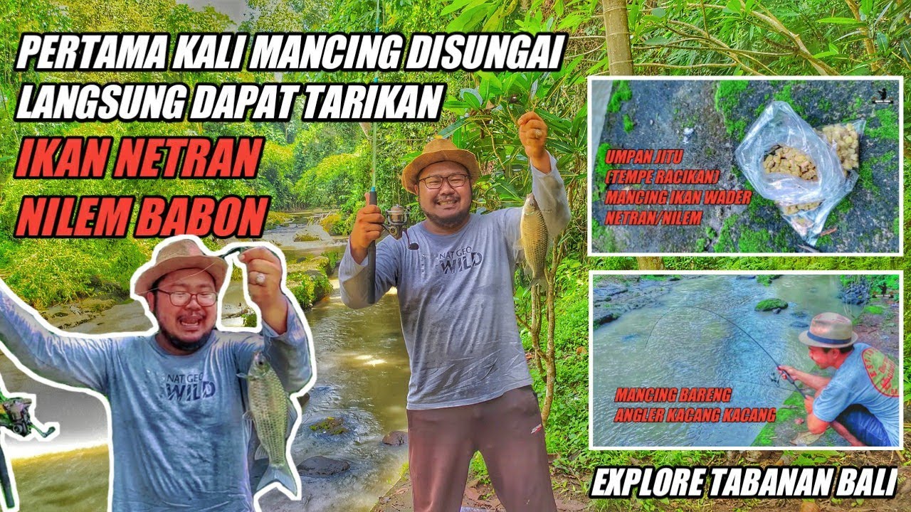 Mancing Ikan Wader dan Ikan Netran/Nilem Babon di Tukad Bongan Tabanan Bali.