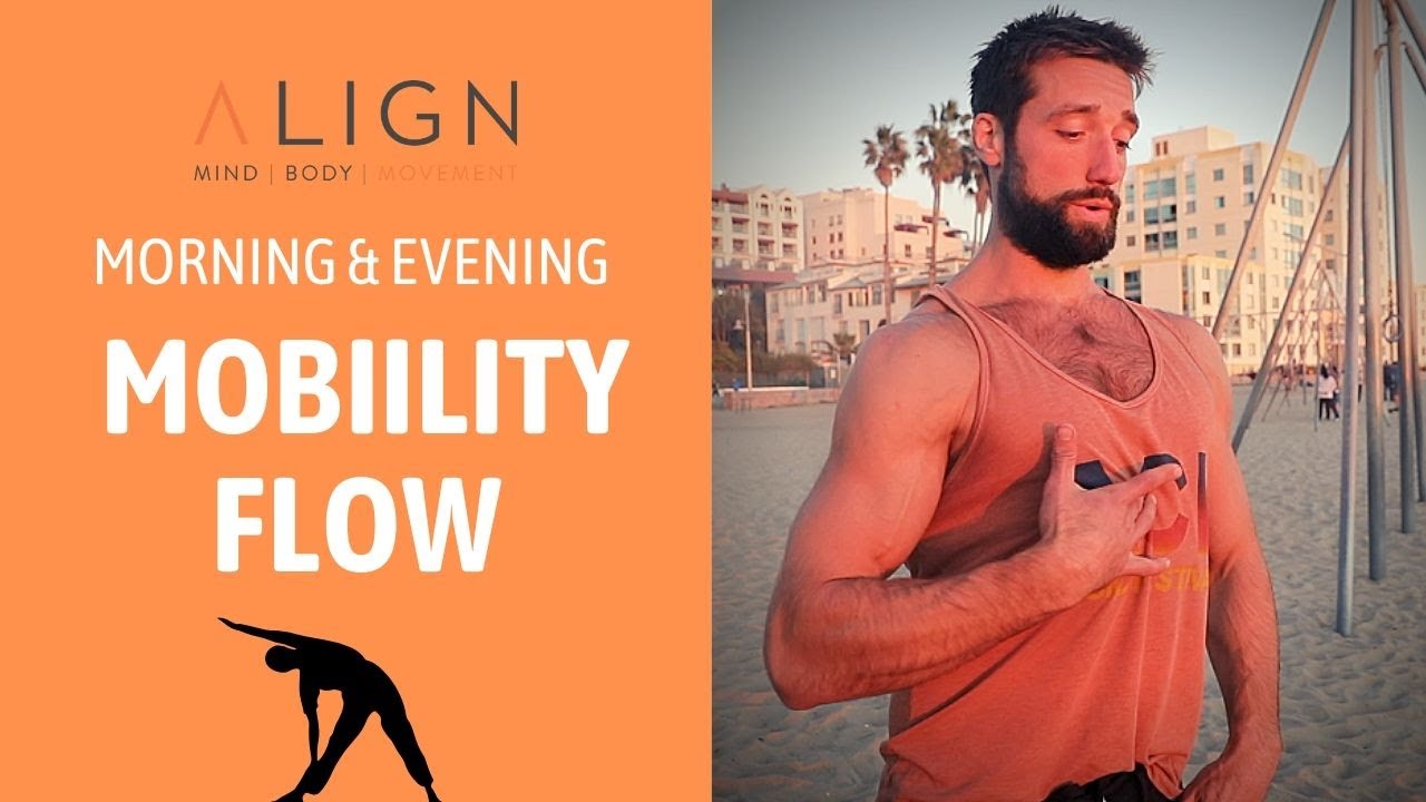 Morning & Evening Mobility Flow