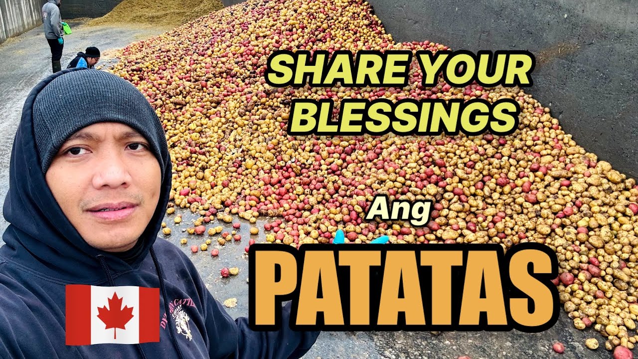 BUNDOK NG PATATAS #canadalife  #buhaycanada  #filipino  #pinoycanada  #fyp