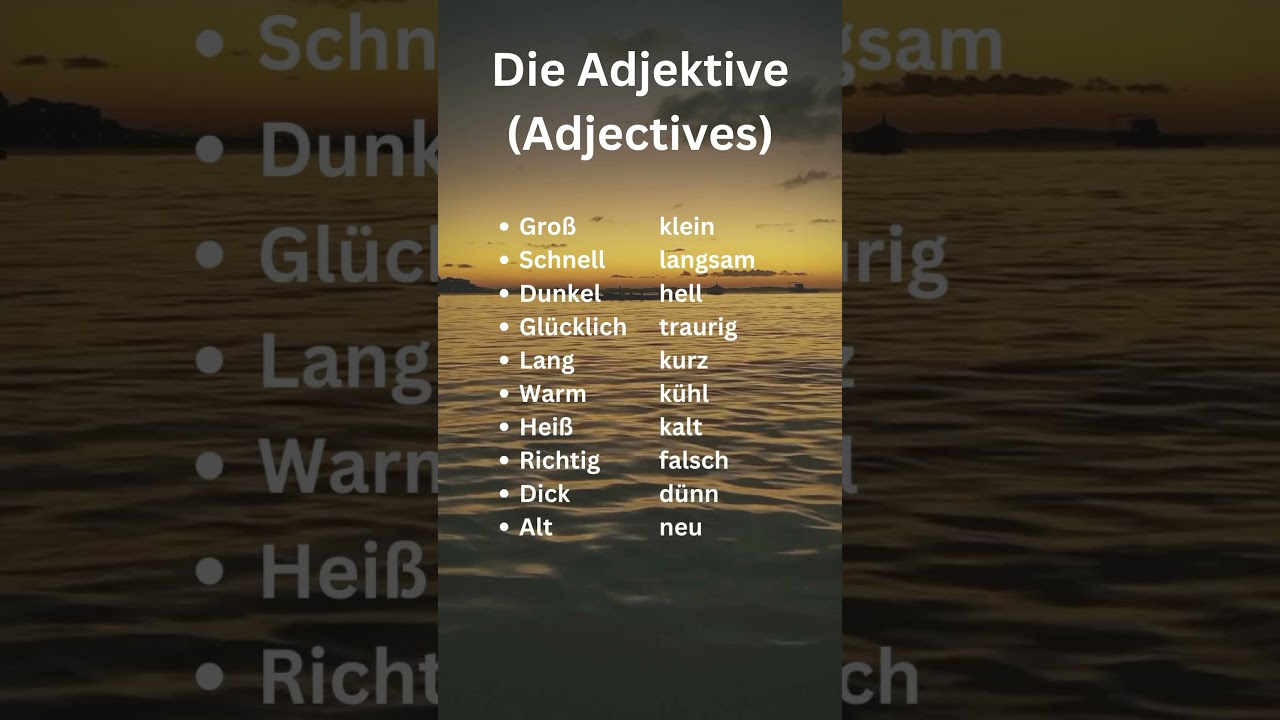 Adjectives and opposite words of German in Hindi  #easygerman #learngermaninhindi #vocabulary German