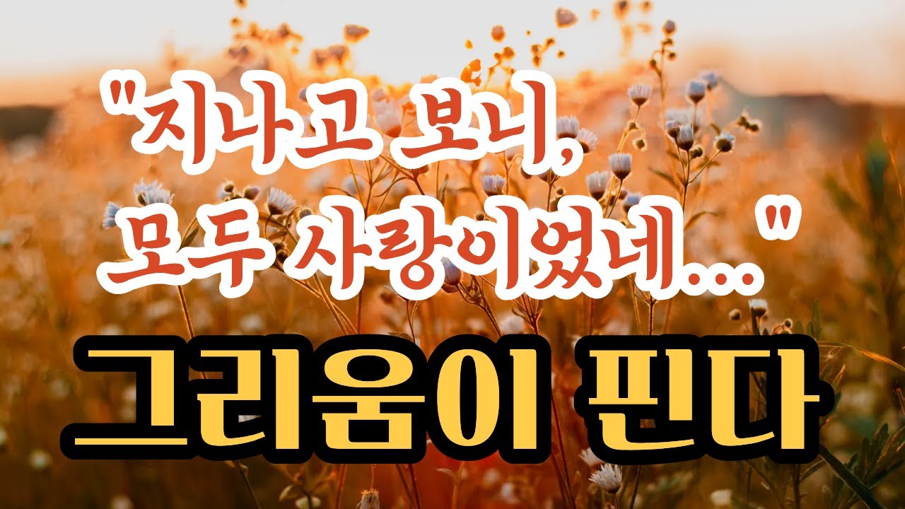 [실버소녀 작사곡] 그리움이 핀다｜실버소녀가 전하는 인생의 향기｜6080을 위한 위로송