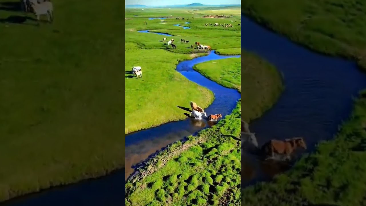 eye relaxation and ear relaxation🌳#alquran egzonibrahimi #nature #beautiful #islamicvideo #relaxing