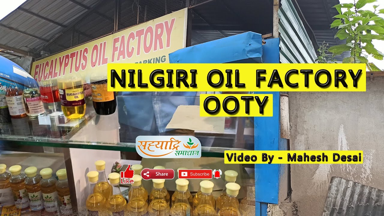 Nilgiri oil factory in Ooty