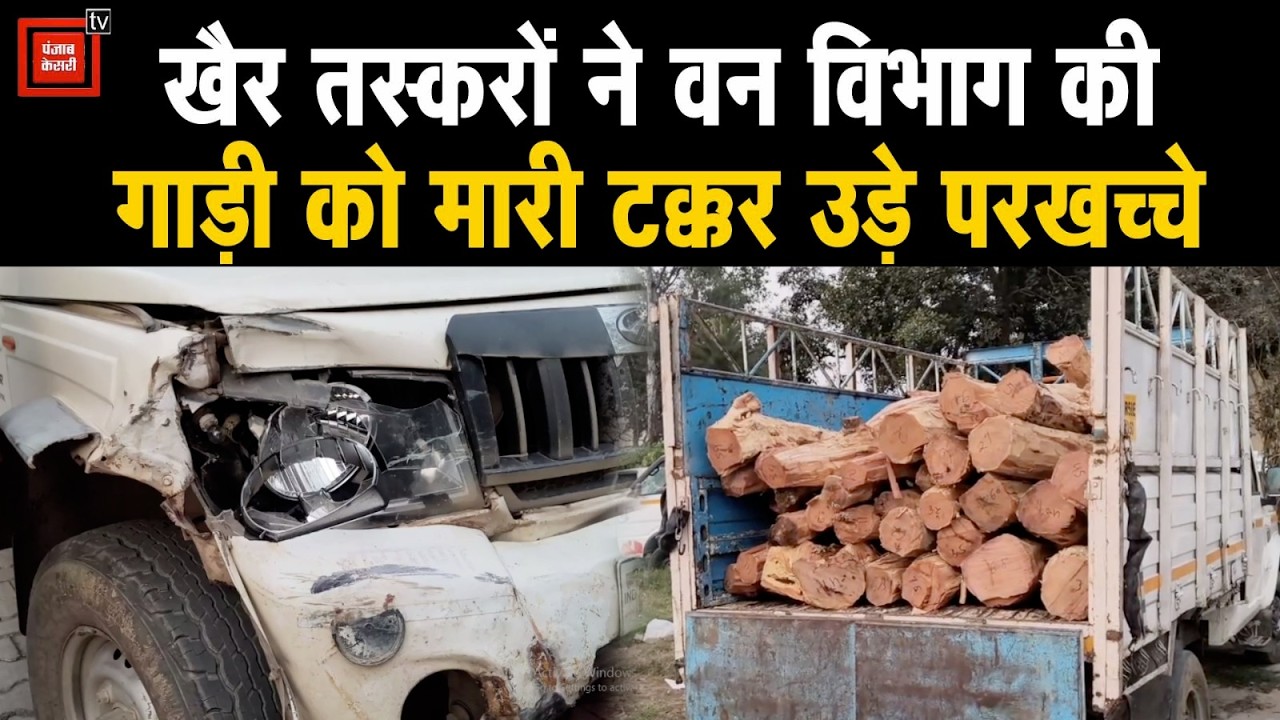 यमुनानगर में 'फिल्मी' एनकाउंटर: दरोगा को कुचलने की कोशिश, बाइक पर 15 KM पीछा कर पकड़ी खैर की लकड़ी