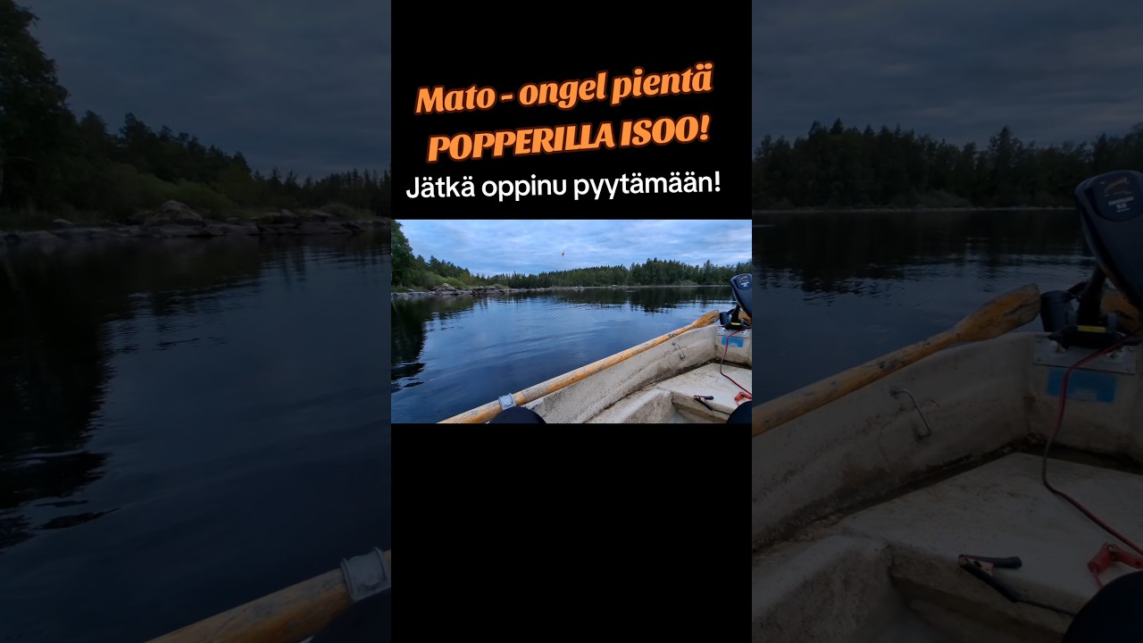 Jigaus, mato- onki ja popperi kaikki toimii 😁