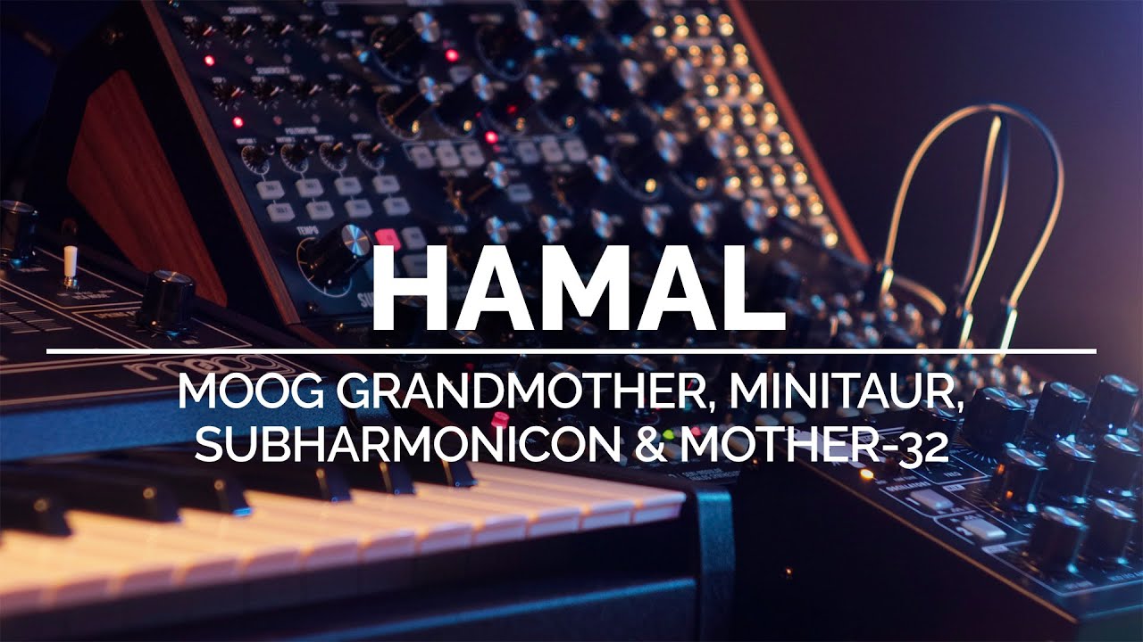 Hamal | Generative Ambient Moog Grandmother, Minitaur, Mother-32 & Subharmonicon