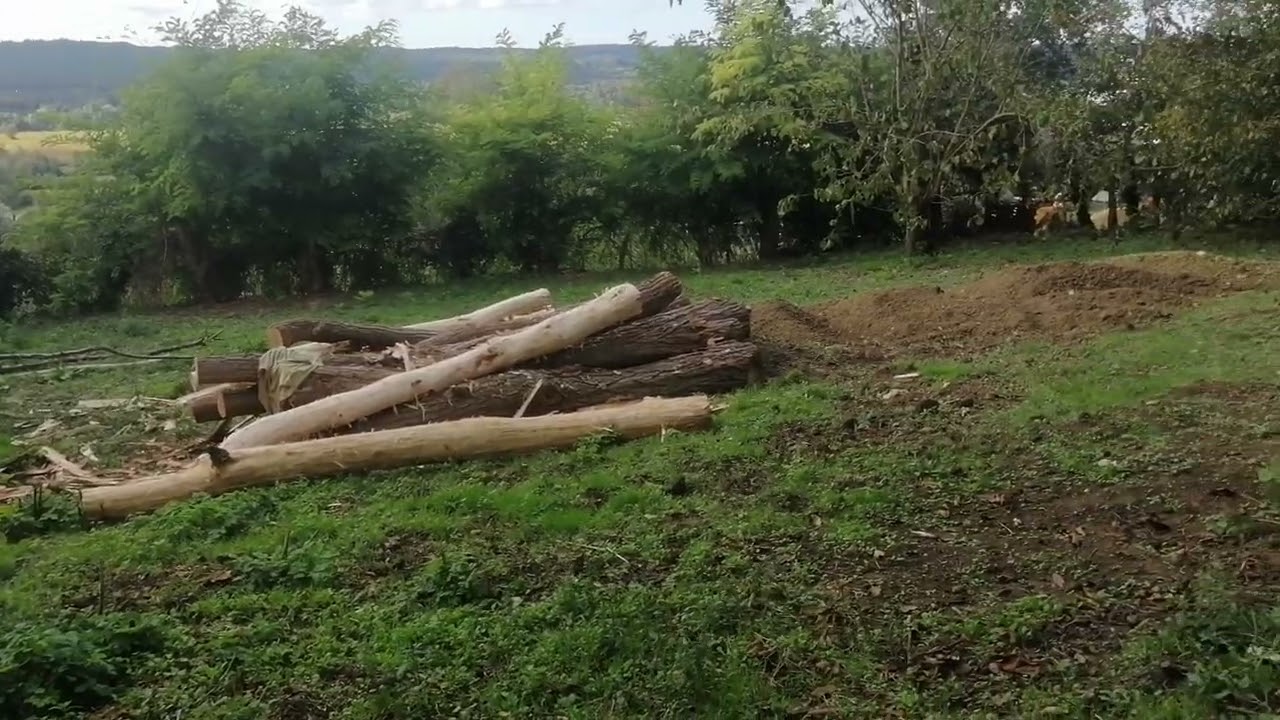 Açık Besi Başlangıcın Başlangıcı