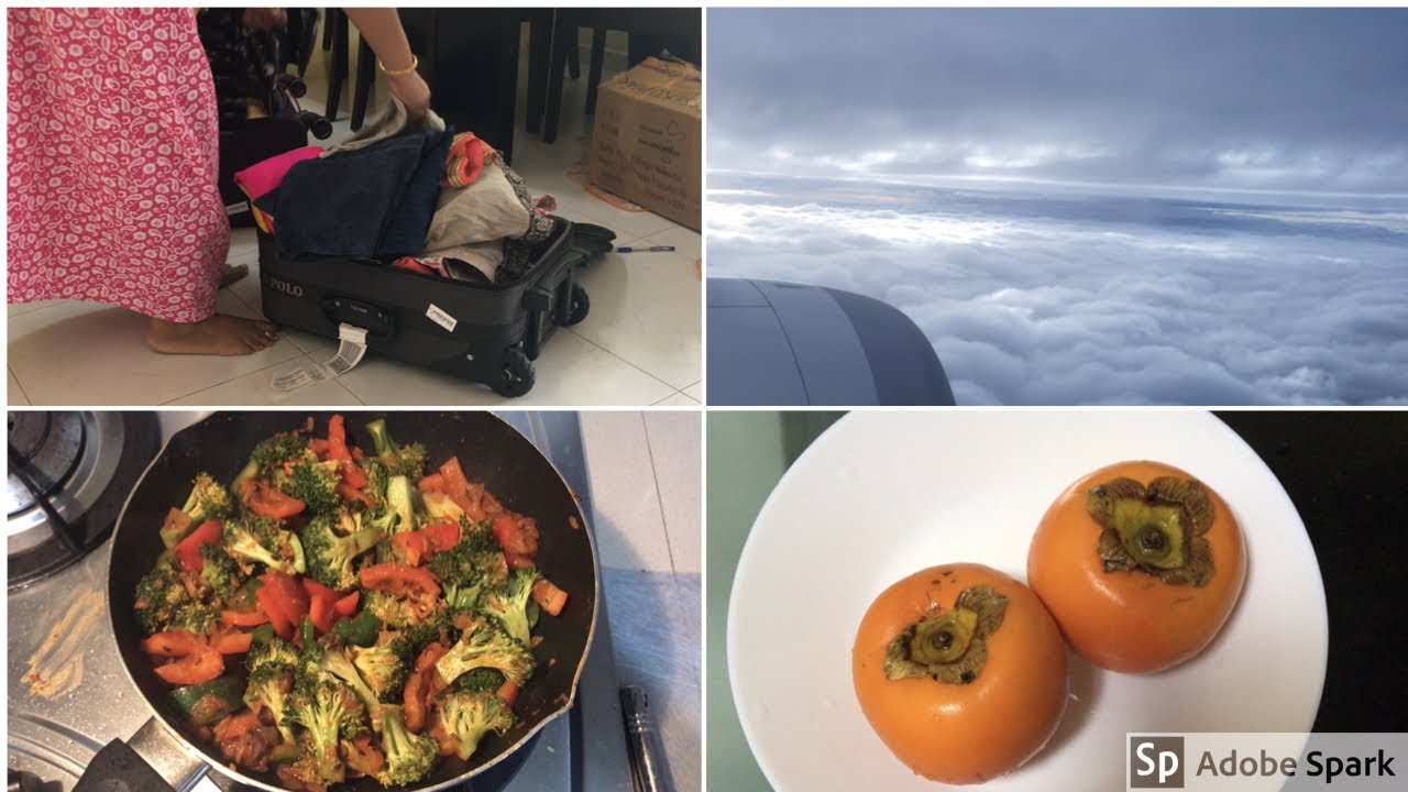 என் மாமியார் வீட்டை பற்றி பேசமாட்டீங்கிறேனா??🤔🤭| Back to Routine life| 🥦Broccoli capsicum Masala