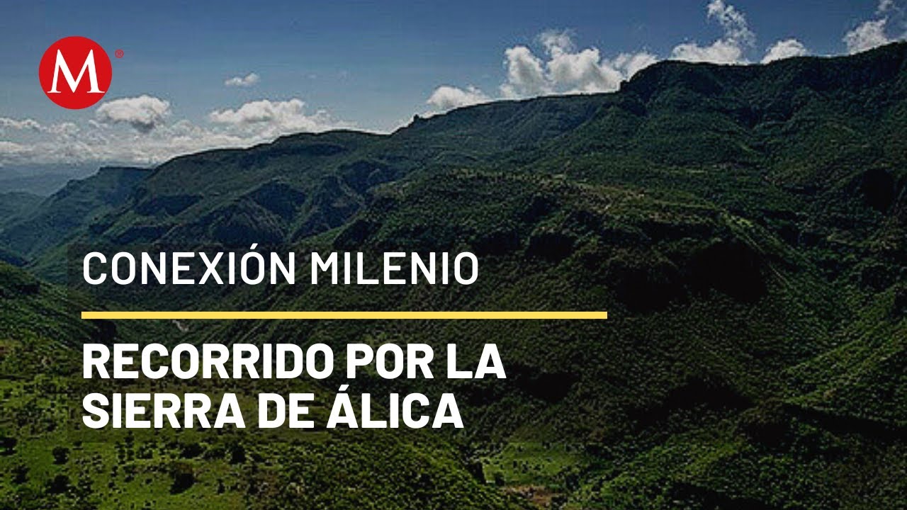 Los tesoros de la Sierra de Álica | Conexión Milenio