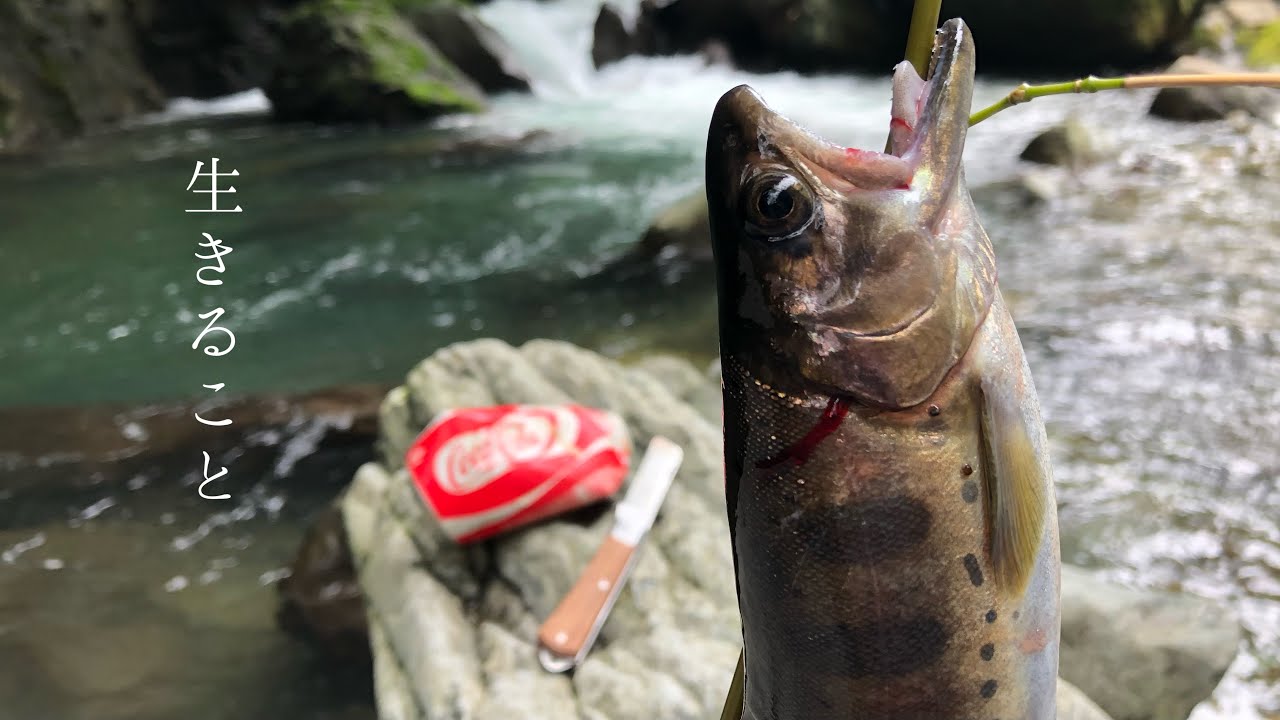 【サバイバル】ナイフ一本と拾ったゴミで食料確保｜japanese bushcraft