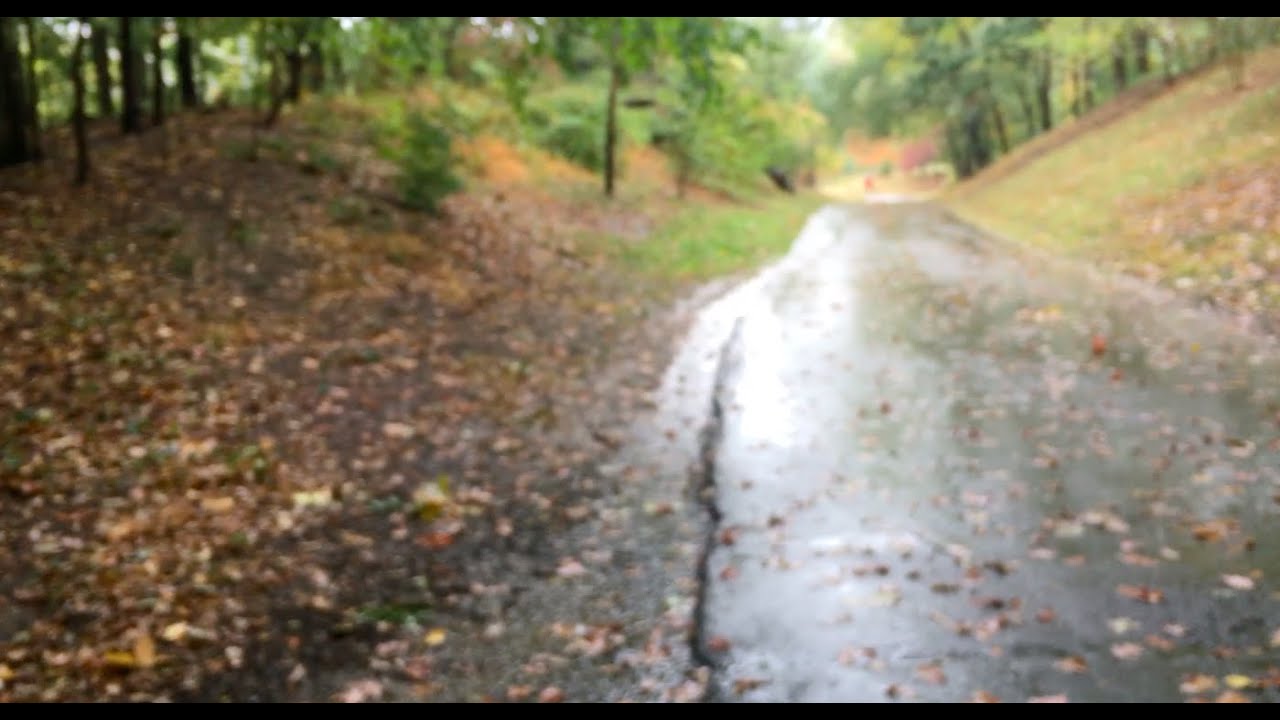 raindrops on umbrella ambiance/walking through park