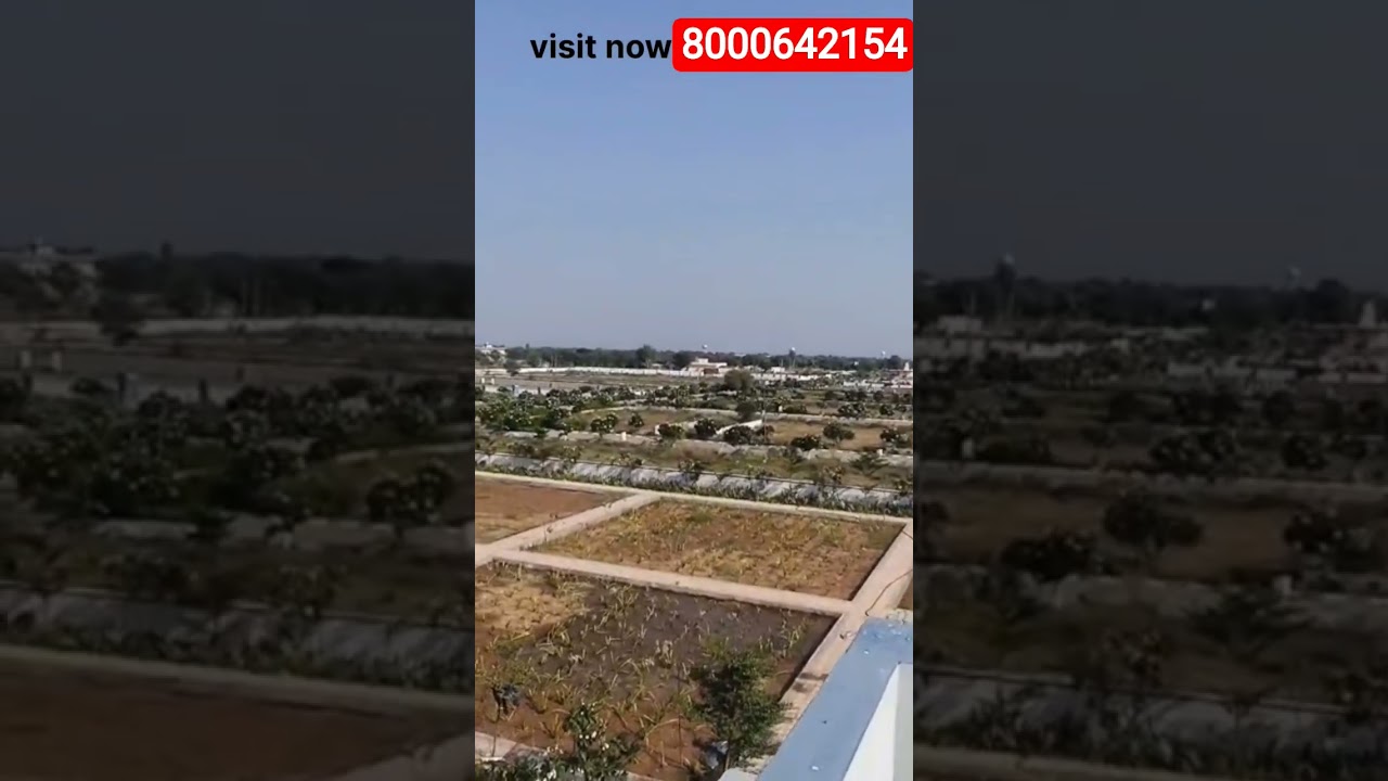 #jaipur