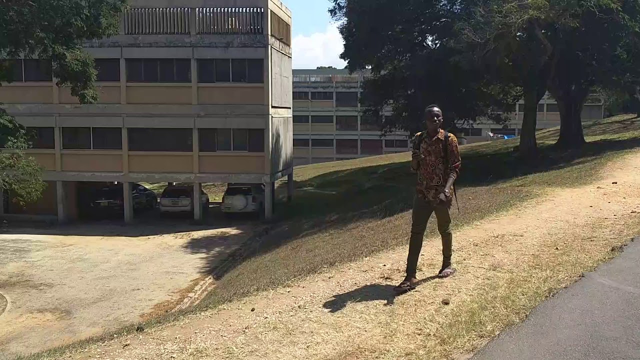 The beautiful campus of the University of Dar es Salaam (UDSM) in Tanzania