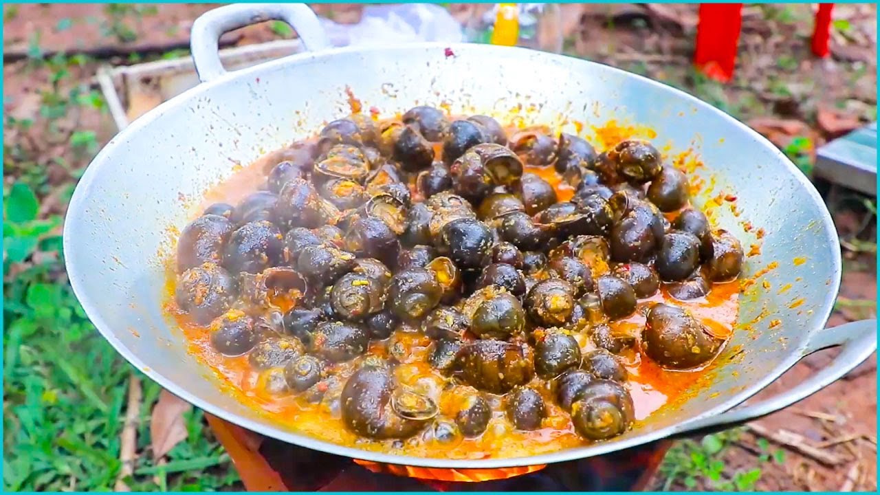 Cooking  Fried snails​ Fried snails in water escargot recipe Local Village Cooking Cooker Food