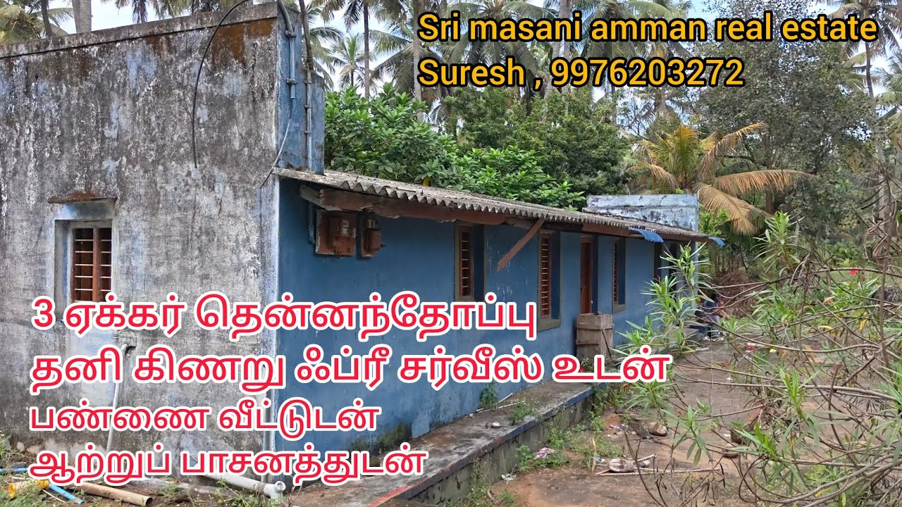 862 ) 3 ஏக்கர் தென்னந்தோப்பு பண்ணை வீட்டுடன் தனி கிணறு ஃப்ரீ சர்வீஸ் உடன்