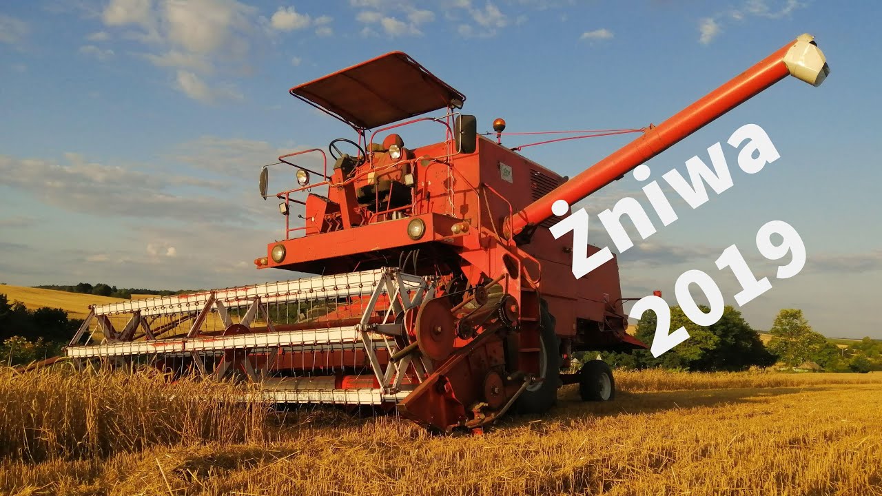 ☆ Żniwa 2019! ☆- Pszenica🌾Agro Poniatówka ㋡