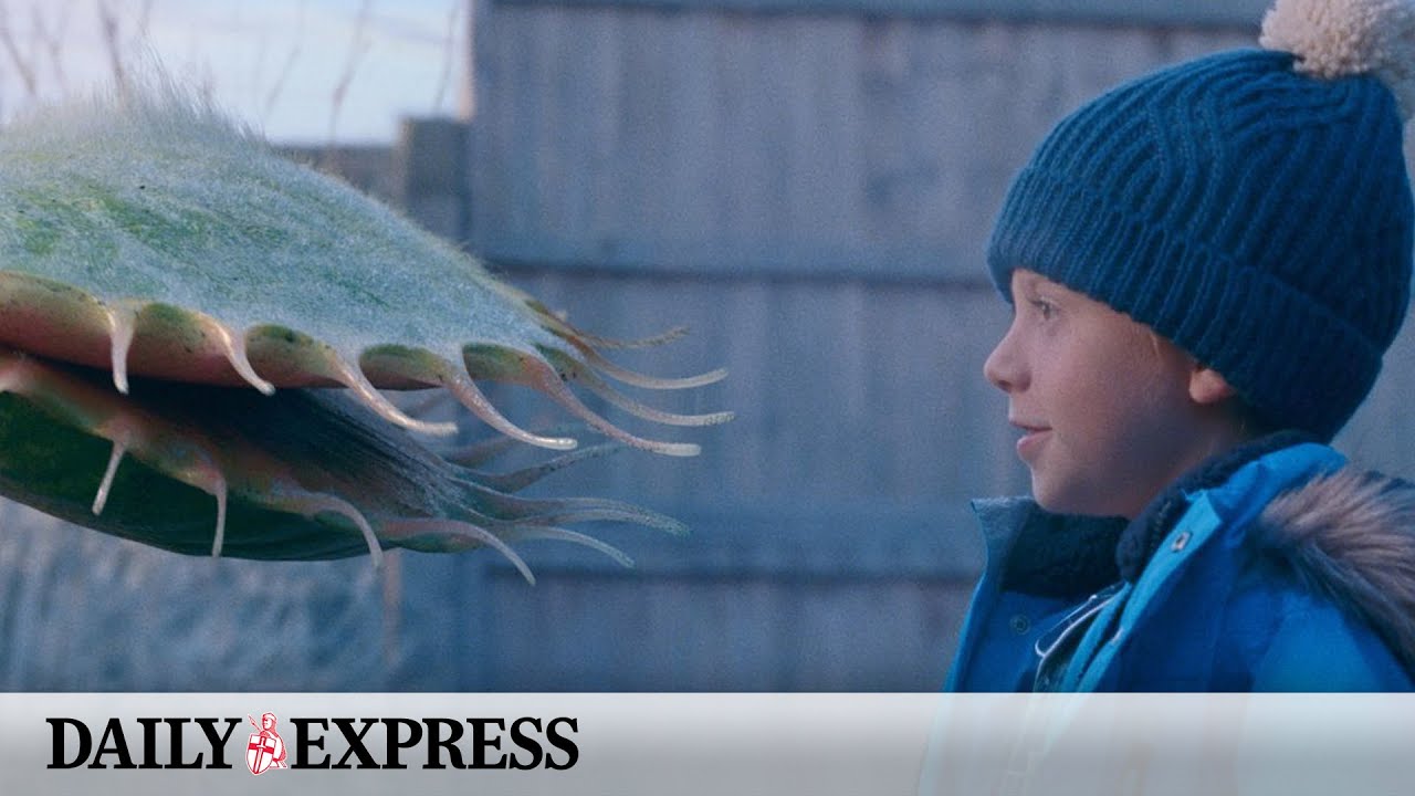 John Lewis turns to Snapper the mischievous Venus flytrap for festive ad