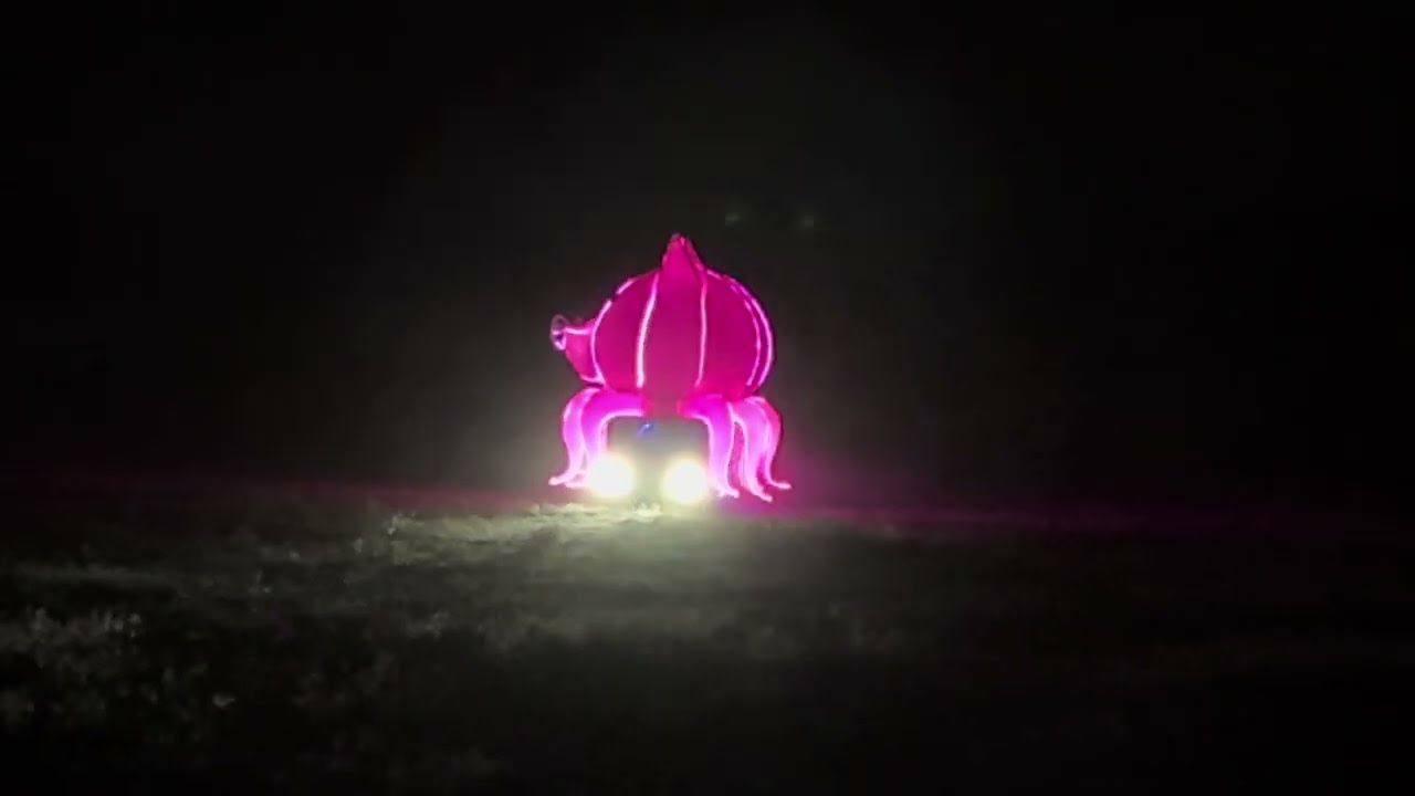 Element 11 Esplanade, 2024