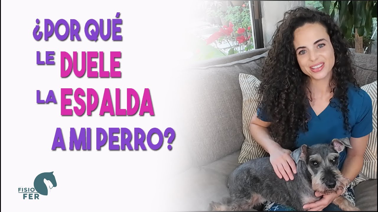 Lesiones y enfermedades que causan dolor de espalda