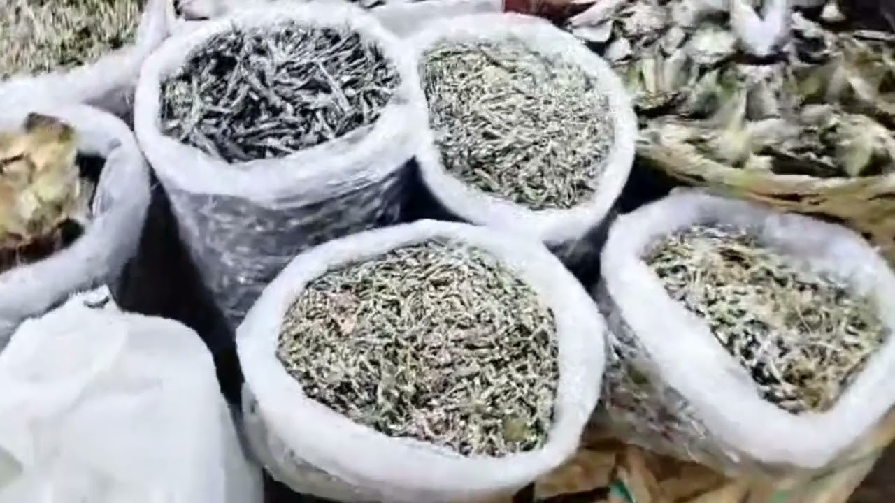 balikbayan dried fish /best place to buy in cebu