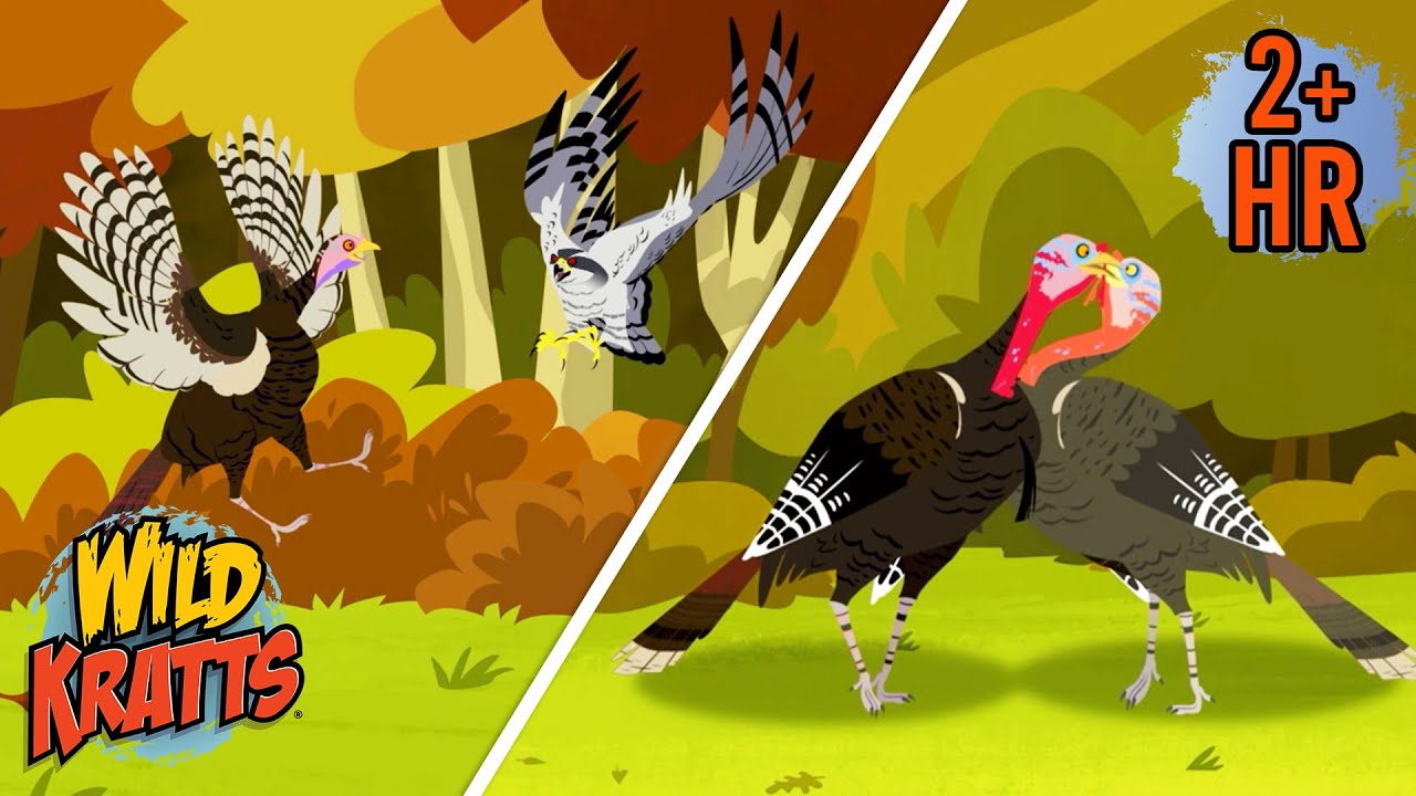 Turkey Battles | Epic Creature Battles | Thanksgiving | New Compilation | Wild Kratts