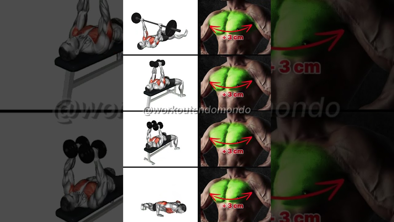 BEST Chest Day Exercises for Massive Gains (DON&rsquo;T SKIP THESE!)