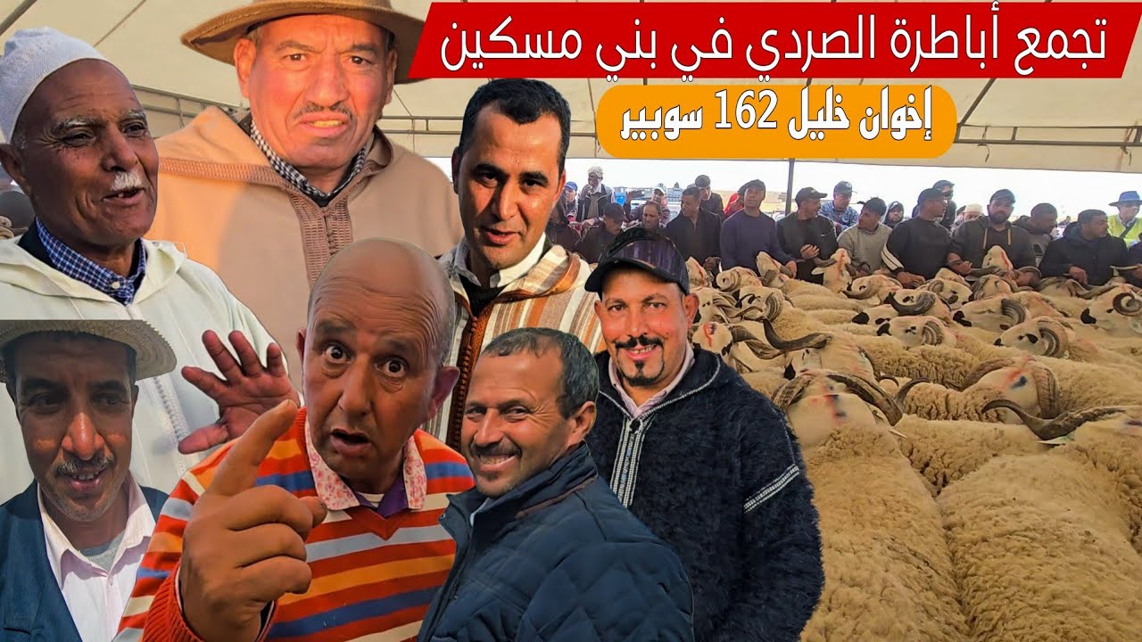 تجمع أباطرة الصردي في بني مسكين الشمالية، إخوان خليل 162 فحل سوبير و البقية خلقو المفاجئة