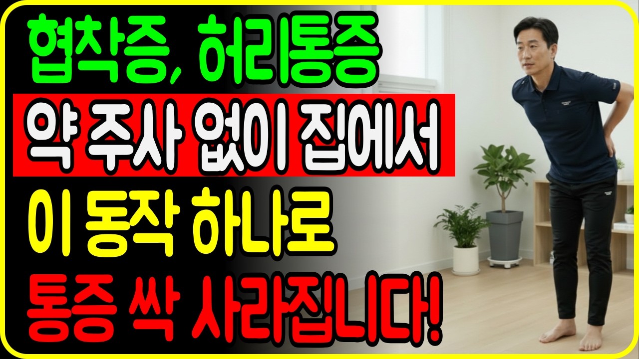 협착증에 이것만 안하면 무조건 낫습니다!｜허리 협착증 해결을 위한 최고의 운동