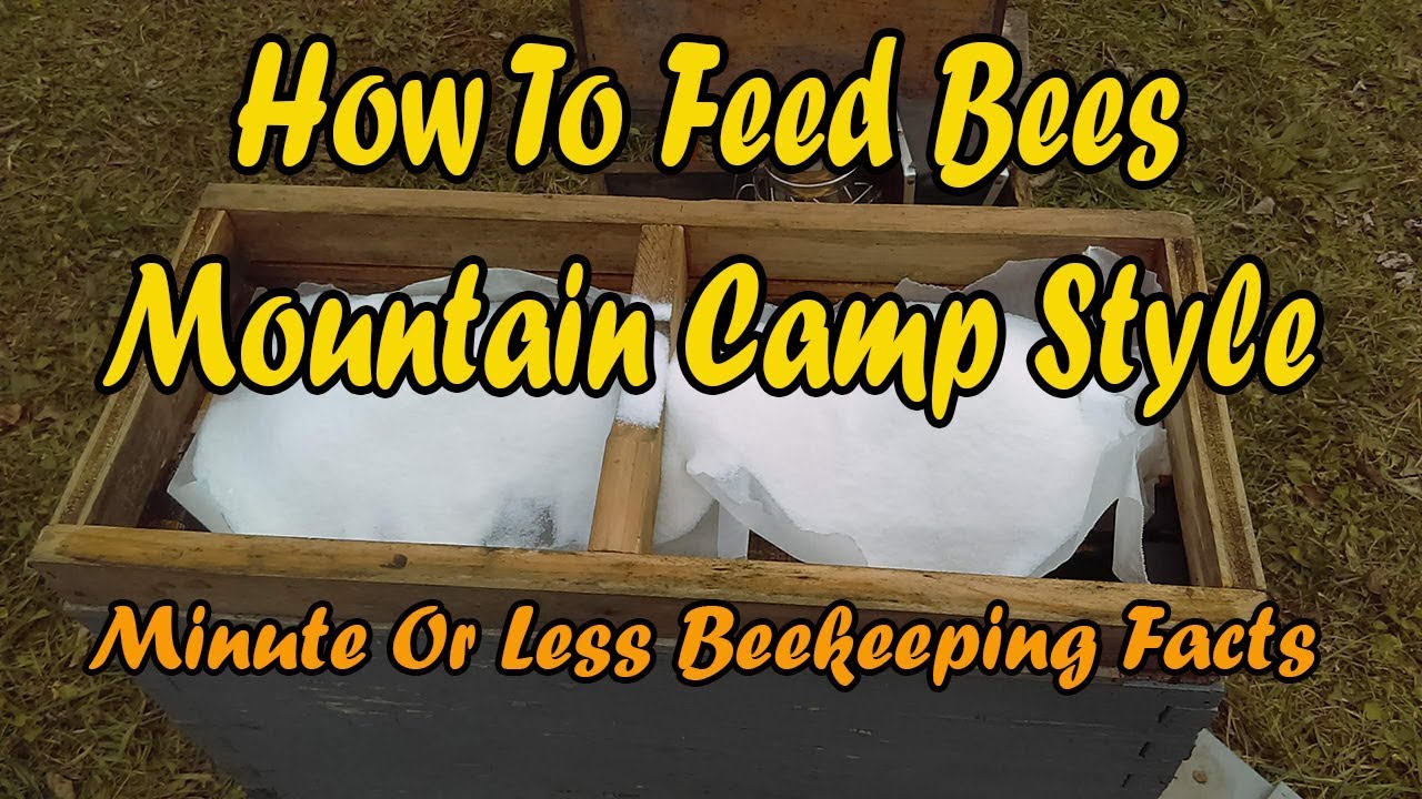How To Feed Bees Mountain Camp Style/ Minute Or Less Beekeeping Facts