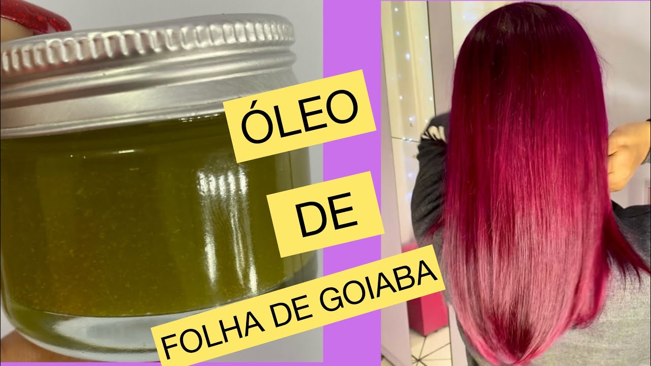 COMO FAZER ÓLEO DE FOLHA DE GOIABA e COMO USA ?UMECTACAO CRESCE ACABA COM A QUEDA e FORTALECE
