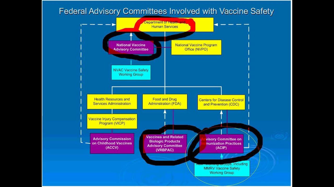 Vaccines A Public Health Success