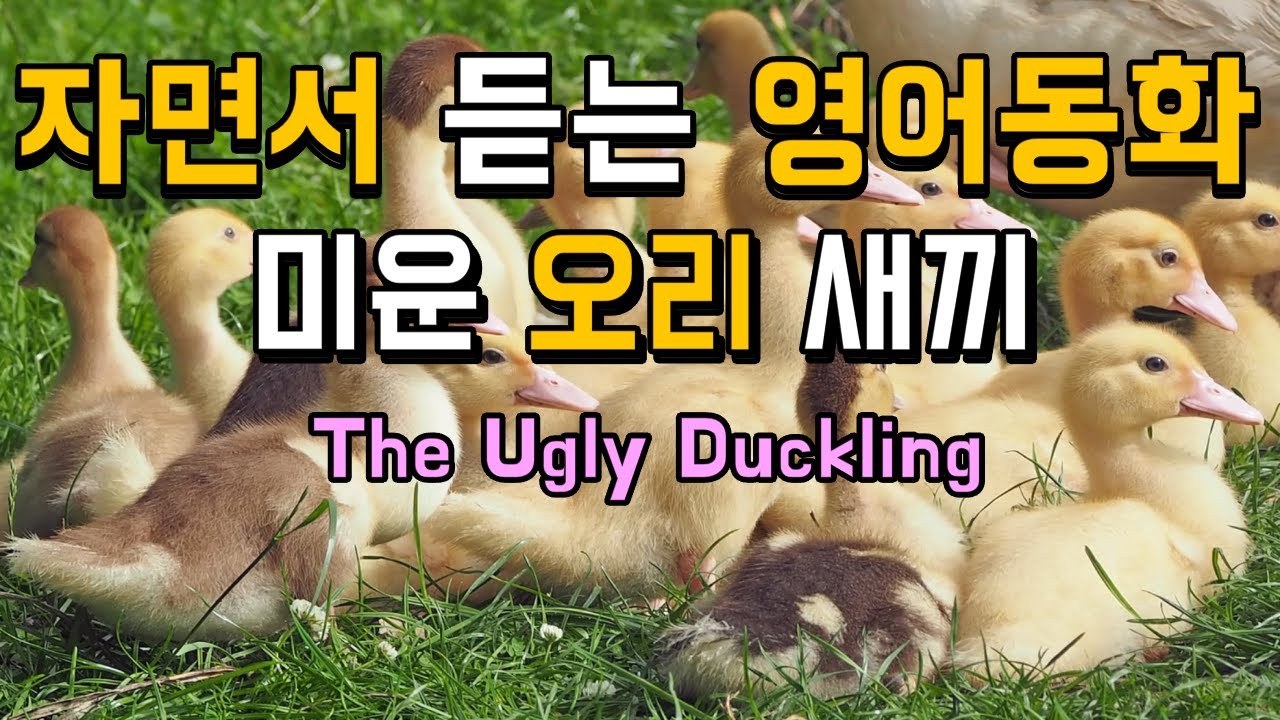 자면서 듣는 영어동화 : 미운 오리새끼 (The Ugly Duckling)