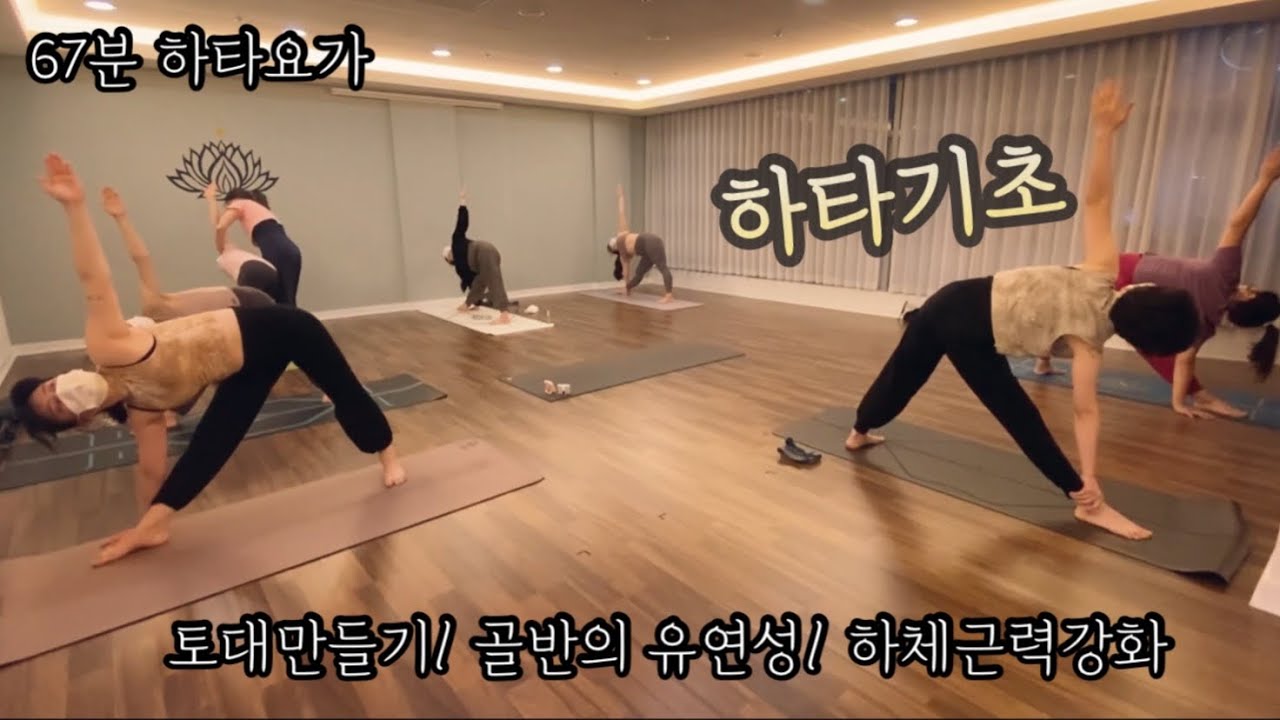 [엔젤요가] 토대만들기 | 골반유연성 | 하체근력강화