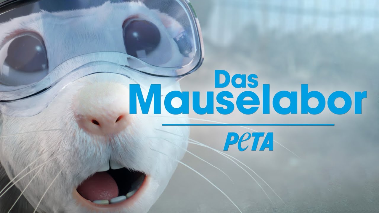 Das Mauselabor 🐭 Experimentierende Tiere sind s&uuml;&szlig;!