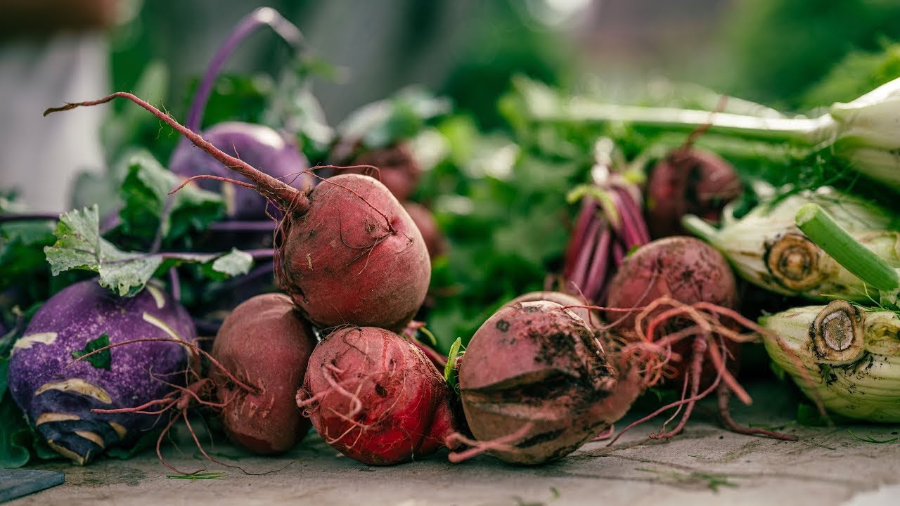 How to Run A Profitable Beetroots Farm