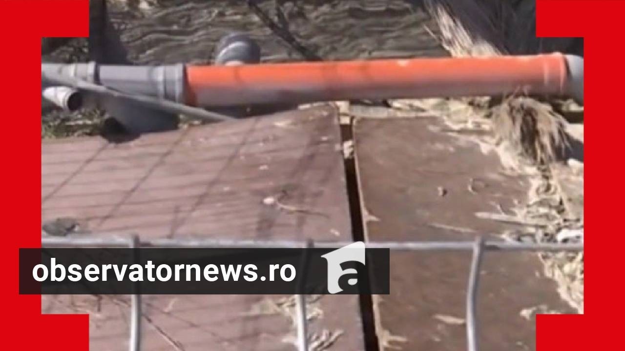 Pericole în Năvodari. Ministrul Mediului: 