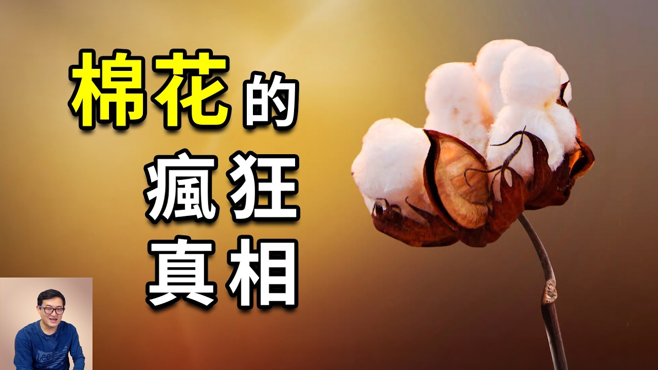 最傳奇的農作物，被懷疑是史前文明存在的證據，美國內戰和工業革命都因它而起！棉花的瘋狂真相……【老肉雜談】
